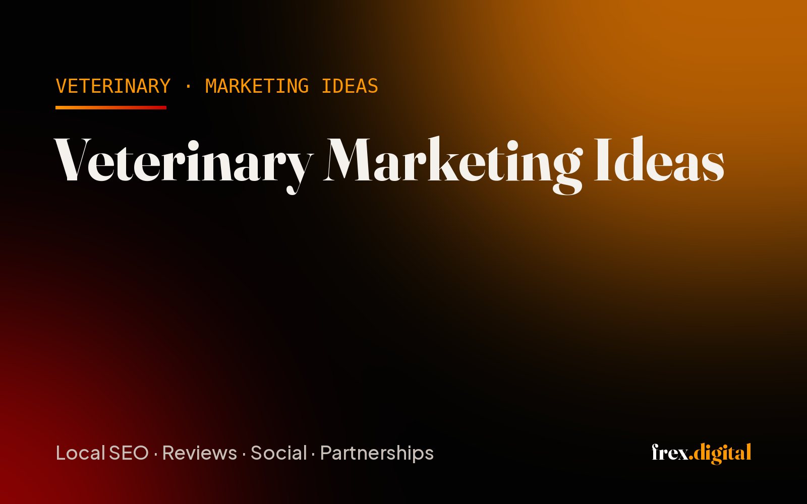 Veterinary Marketing Ideas: 19 Practical Ways to Grow a Vet Clinic